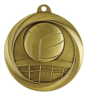 Econo Volleyball