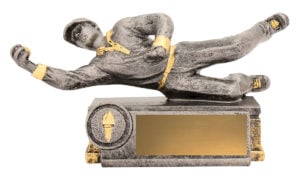 Cricket Diving Fielder