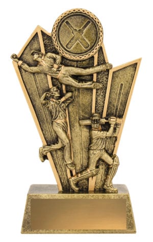 Cricket All-Rounder
