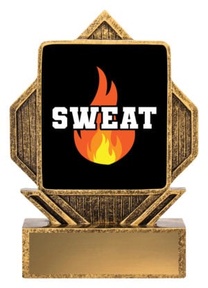 Lynx Arrow - Sweat