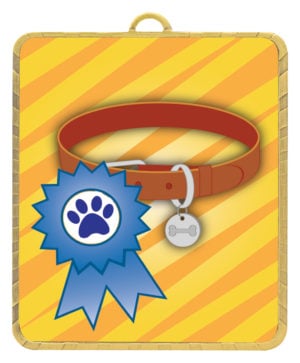 Lynx Medal - Ribbon & Collar