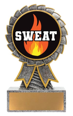 Aster - Sweat Training