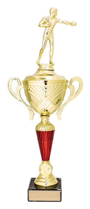 Varsity Cups