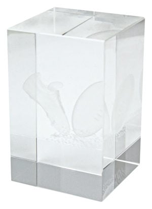 Rugby Crystal Block Award