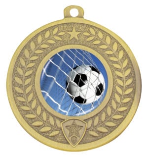 Distinction - Ball in Net