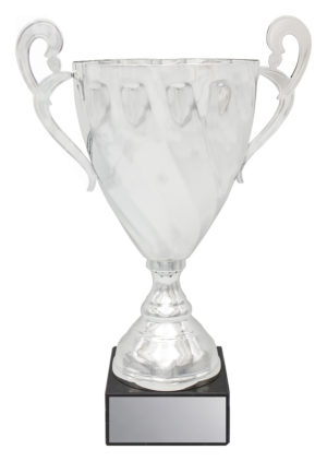 Fidelity Cup - Silver