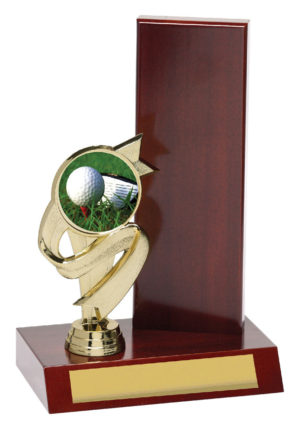 Wing Trophy