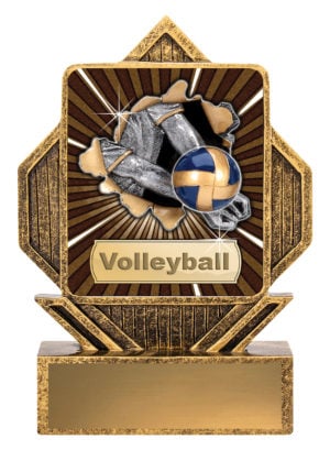 Lynx Arrow - Volleyball