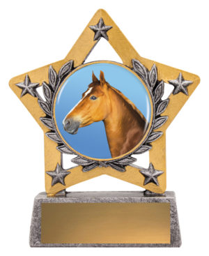 Mini Star Colour - Horse