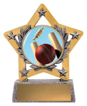 Mini Star Colour - Cricket