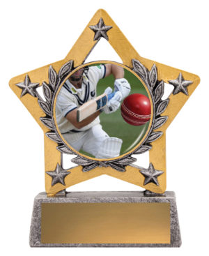 Mini Star Colour - Batting