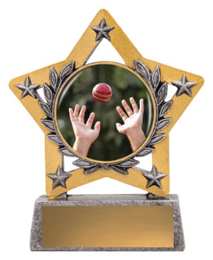 Mini Star Colour - Fielding