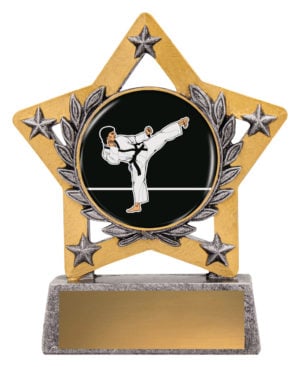 Mini Star Colour - Karate