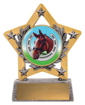 Mini Star Colour - Horse Shoe