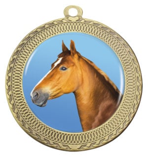 Ovation - Horse