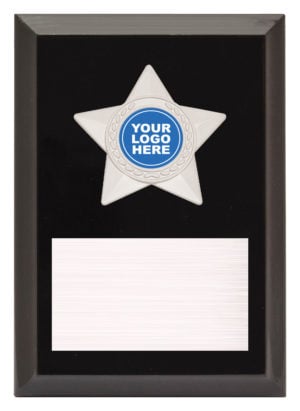 Star Plaque - Silver