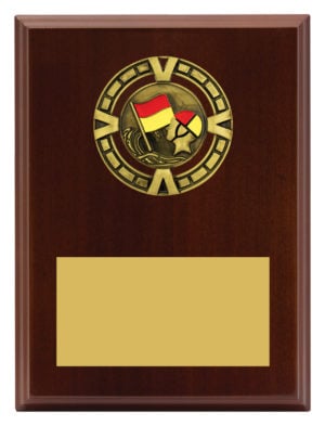 Varsity Plaque - Lifesaving