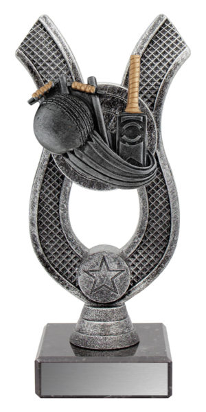 Anchor - Cricket