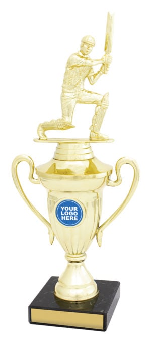 Cricket Value Cup