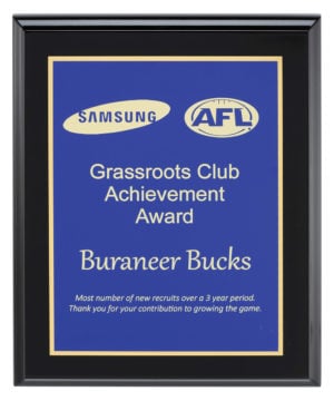 Designer Plaques - Blue