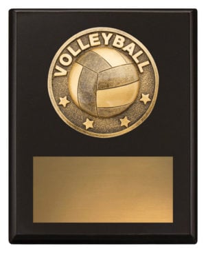 Challenge Plaque - Volleyball