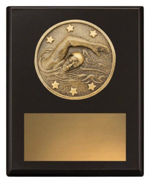 Challenge Plaque - Swim