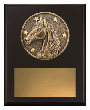 Challenge Plaque - Horse