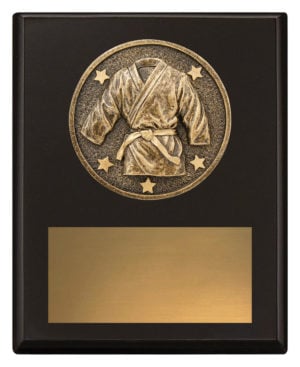 Challenge Plaque - Martial Arts