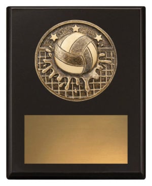 Challenge Plaque - Water Polo