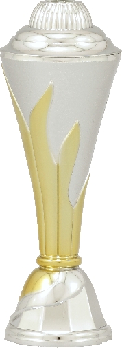 Gold & Silver Flame