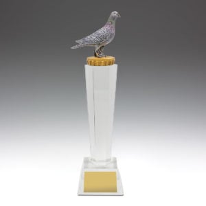 Pigeon Crystal