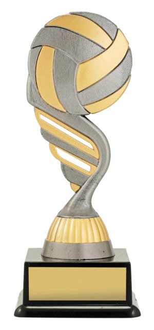 Silver Volleyball
