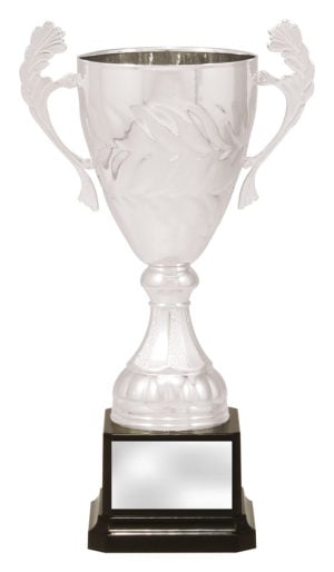 Eternal Silver Cup