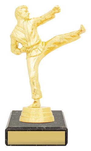 Figure Trophy - Karate