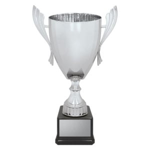 Ironside Silver Cup