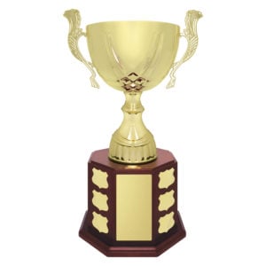 Ensign Cup Perpetual
