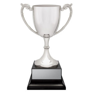 Provenance Silver Cup